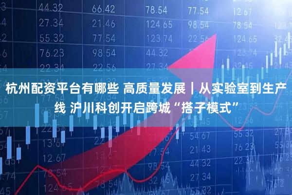 杭州配资平台有哪些 高质量发展｜从实验室到生产线 沪川科创开启跨城“搭子模式”